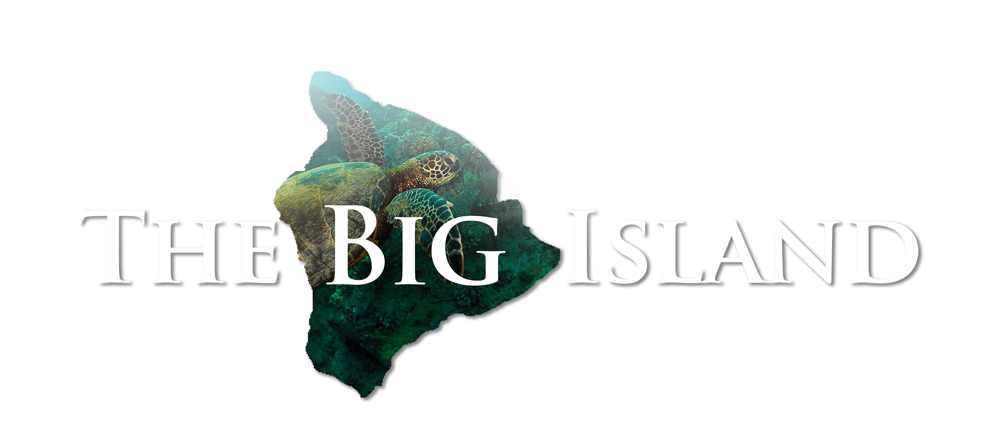 TheBigIsland